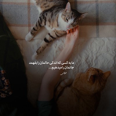  کالبیم سنی بکلر